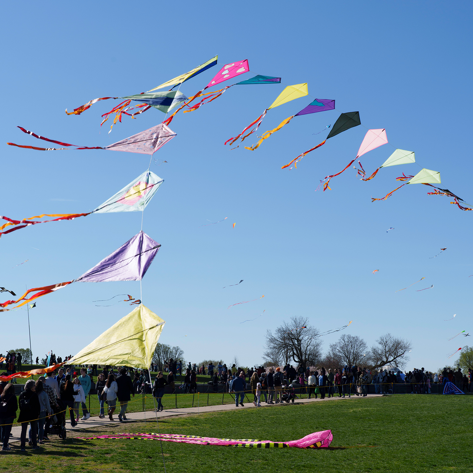 Kite Festival